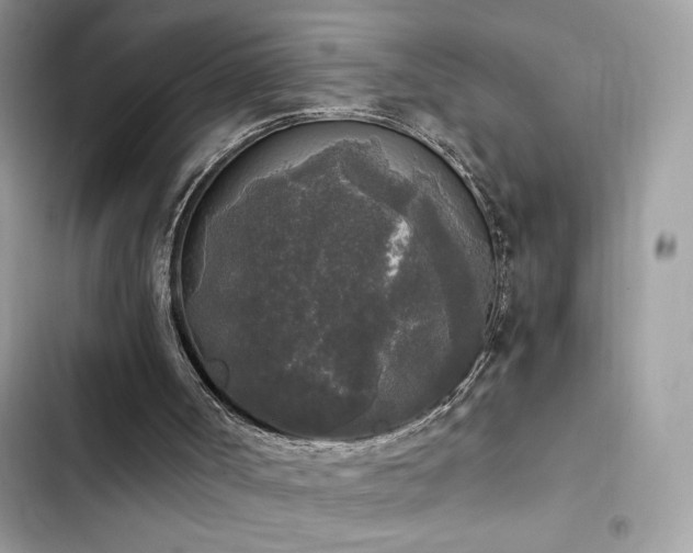 X0000103960002200809191522