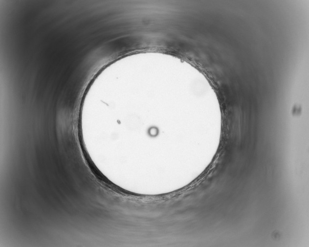 X0000103960003200809191522