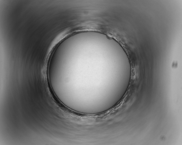 X0000103960004200809191522