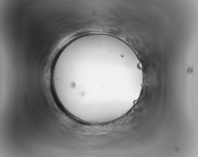 X0000103960005200809191522