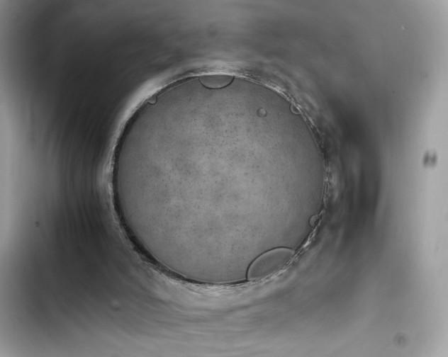 X0000103960006200809191522