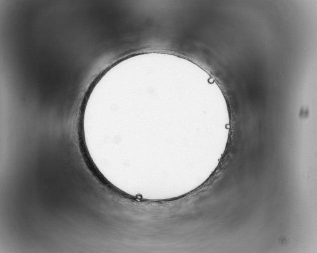 X0000103960007200809191522