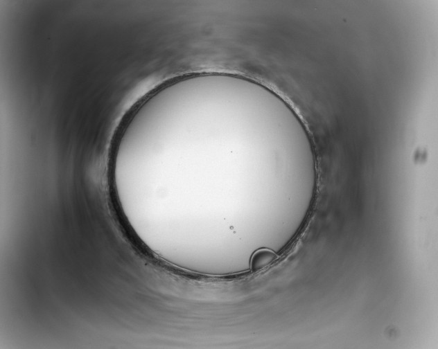 X0000103960008200809191522