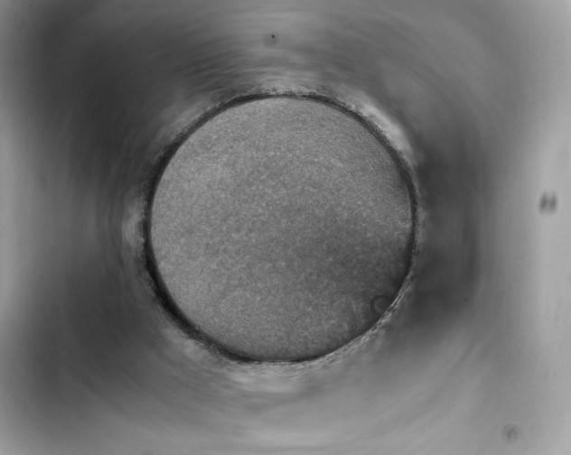X0000103960009200809191522