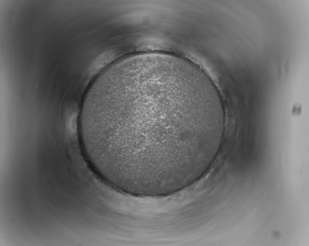 X0000103960010200809191522
