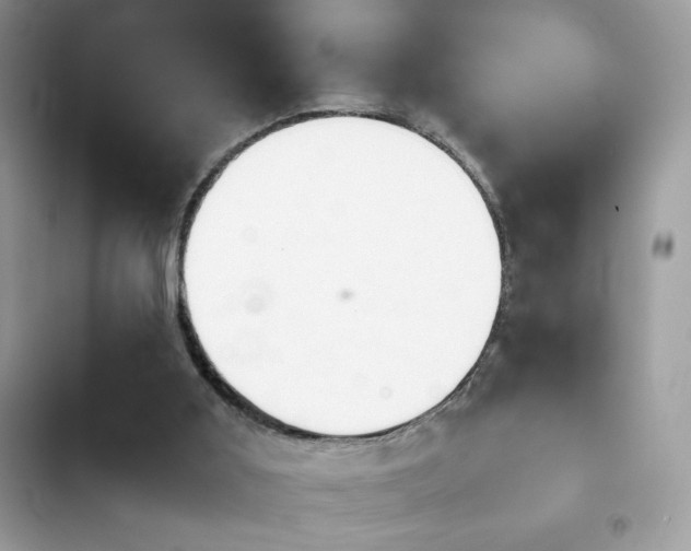 X0000103960011200809191522