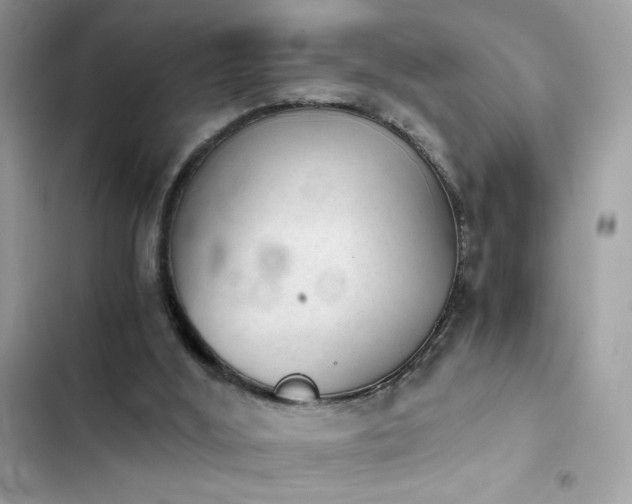 X0000103960012200809191522
