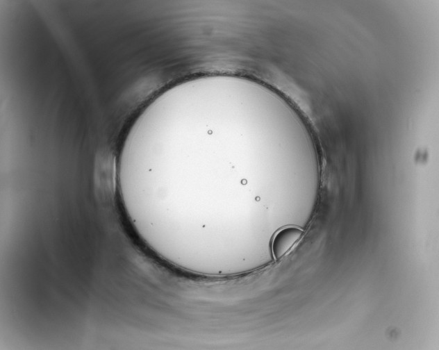 X0000103960013200809191522