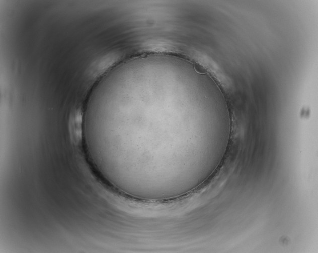 X0000103960014200809191522