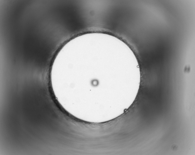 X0000103960015200809191522