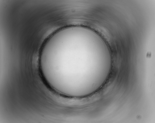 X0000103960016200809191522