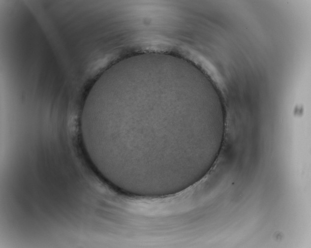 X0000103960017200809191522