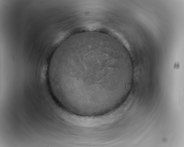 X0000103960018200809191522