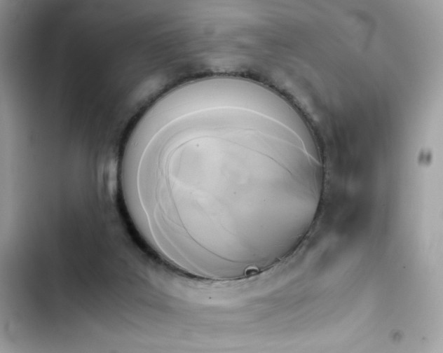 X0000103960019200809191522