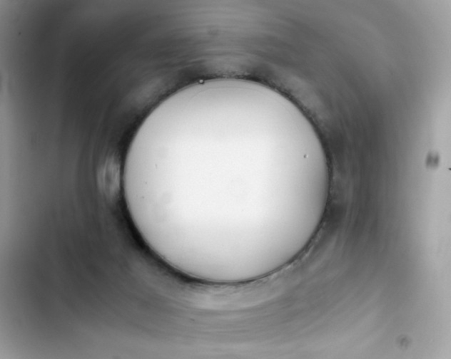 X0000103960021200809191522