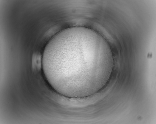 X0000103960022200809191522