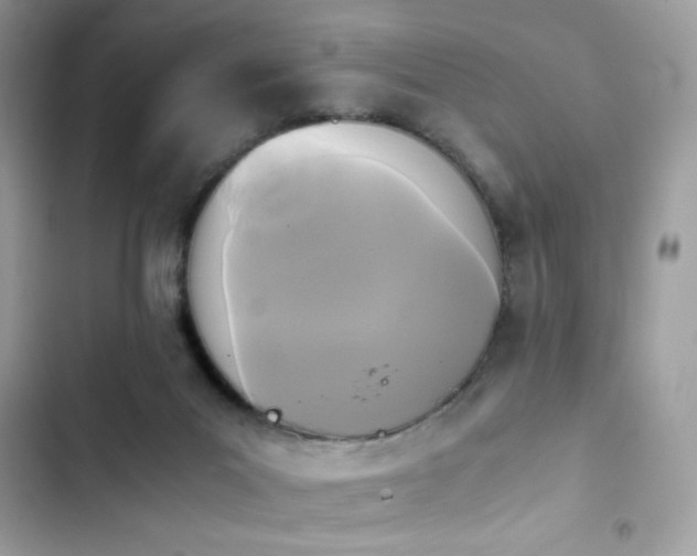 X0000103960023200809191522