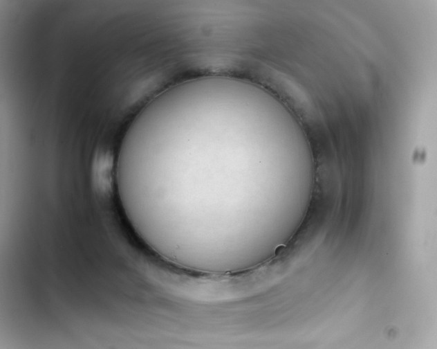X0000103960024200809191522