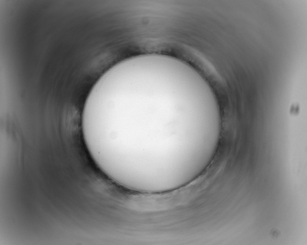 X0000103960025200809191522