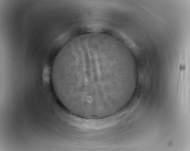 X0000103960026200809191522
