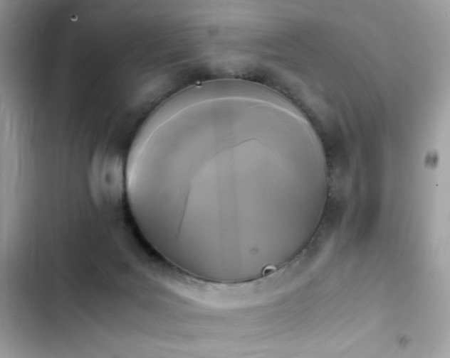X0000103960027200809191522