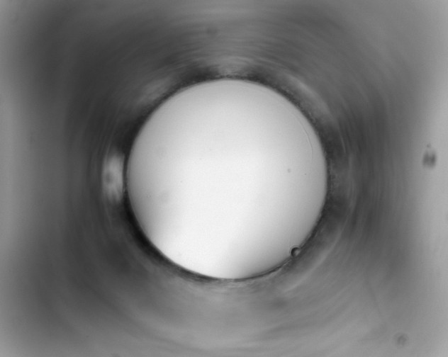X0000103960028200809191522