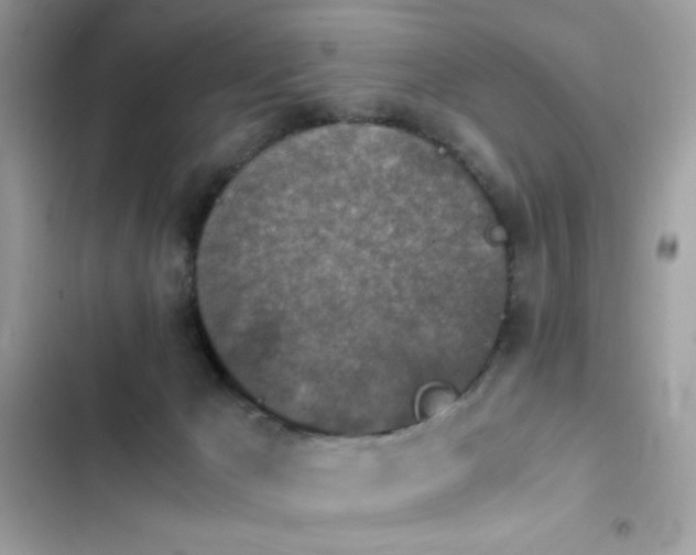 X0000103960029200809191522