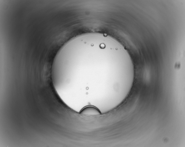 X0000103960030200809191522