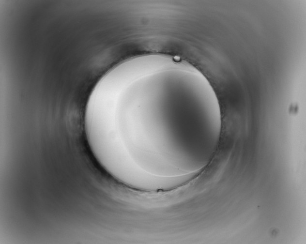 X0000103960031200809191521