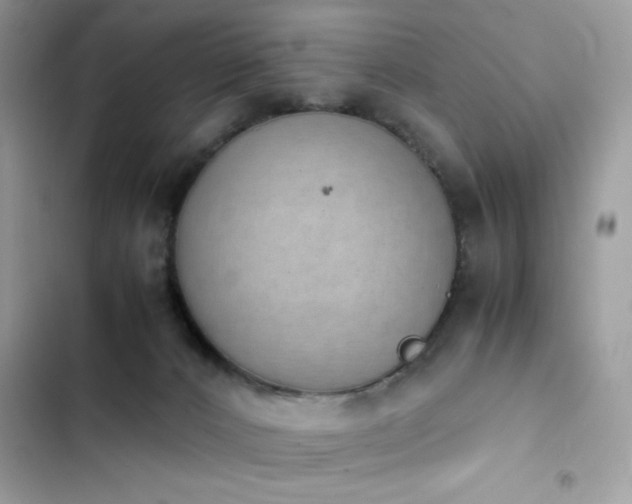 X0000103960032200809191521
