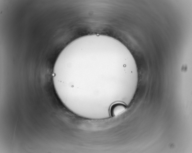 X0000103960033200809191521
