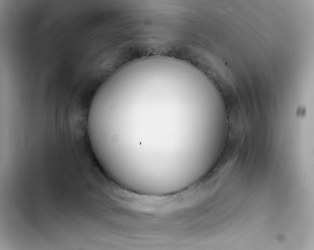 X0000103960034200809191521