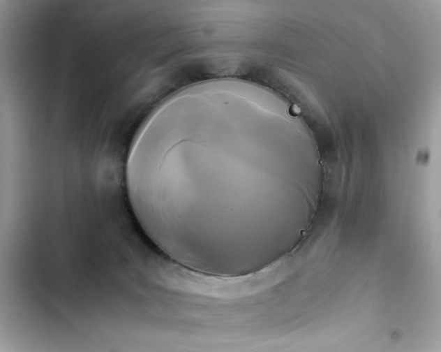 X0000103960035200809191521