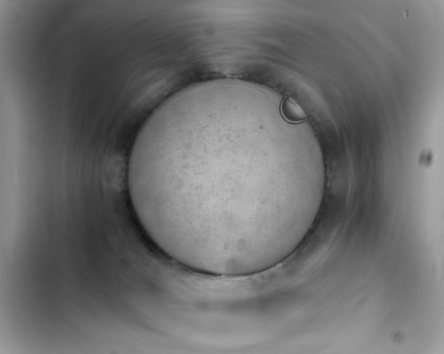 X0000103960036200809191521