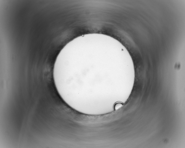 X0000103960037200809191521