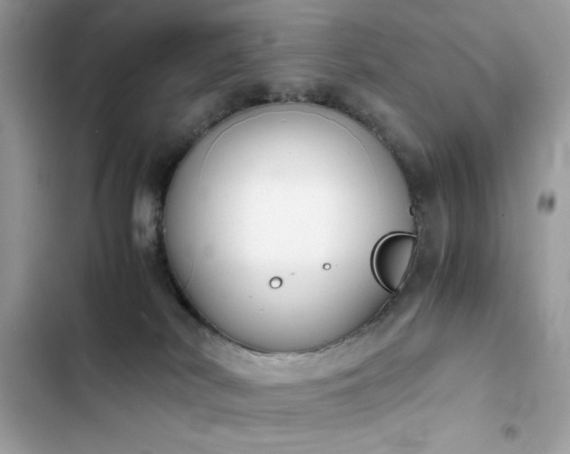 X0000103960038200809191521