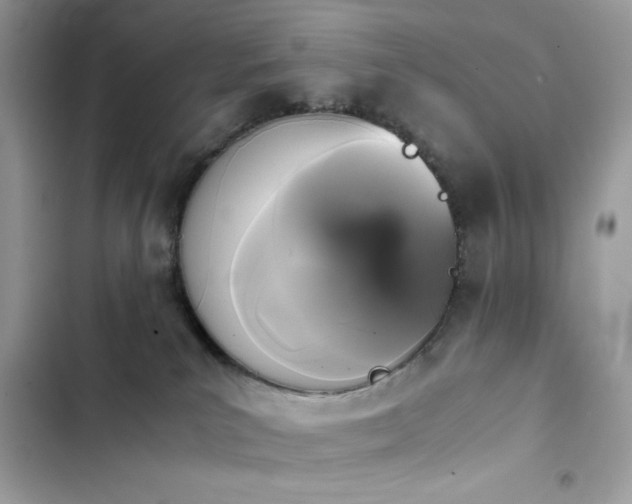 X0000103960039200809191521