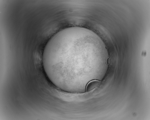 X0000103960040200809191521