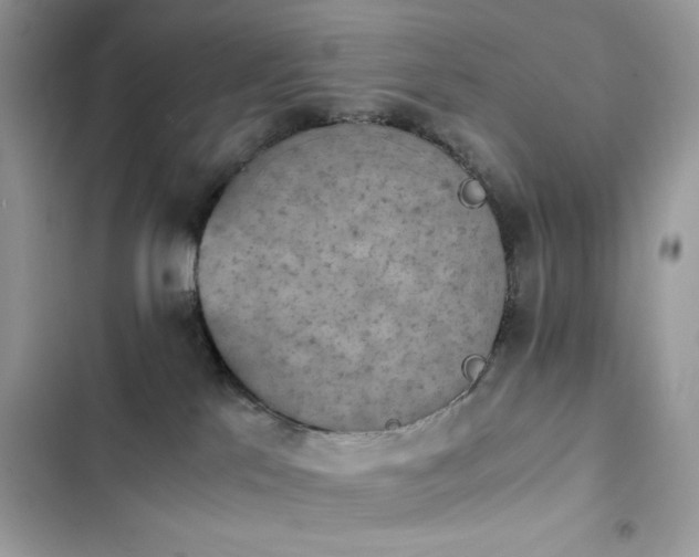 X0000103960041200809191521