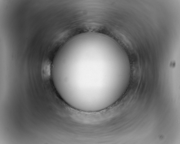 X0000103960042200809191521
