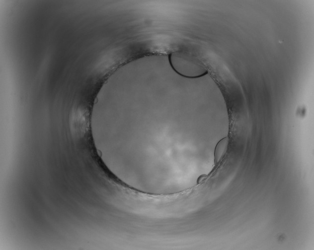 X0000103960043200809191521