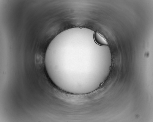 X0000103960044200809191521