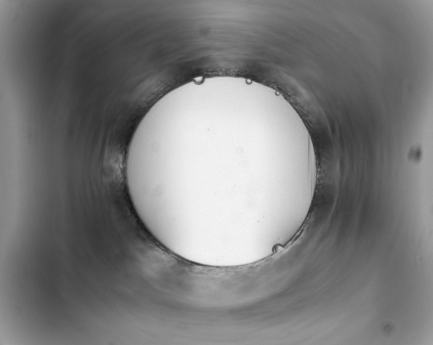 X0000103960045200809191521