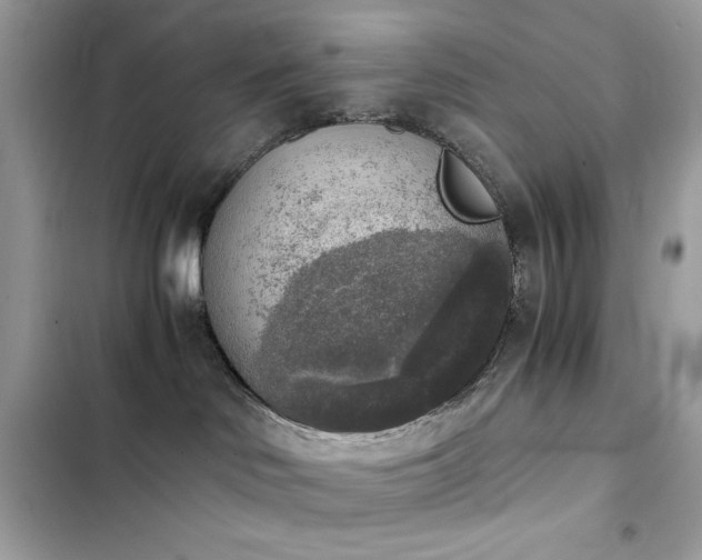X0000103960046200809191521