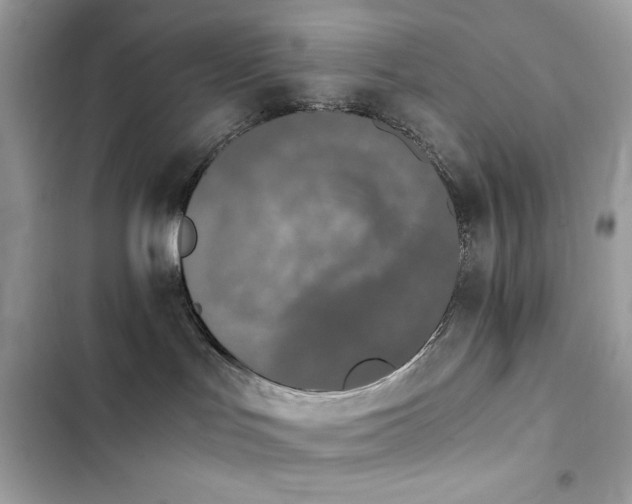 X0000103960047200809191521