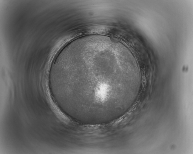 X0000103960049200809191520