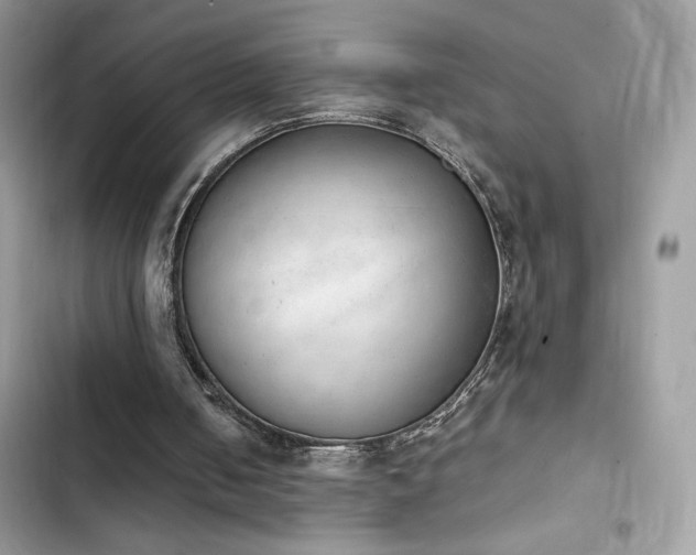 X0000103960050200809191520