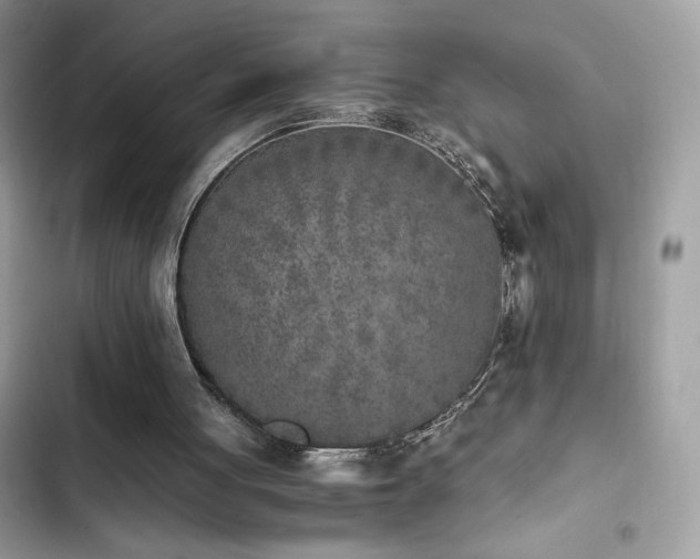 X0000103960051200809191520
