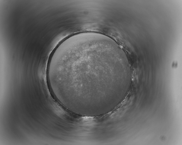 X0000103960052200809191520