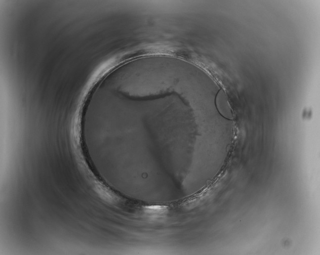 X0000103960053200809191520